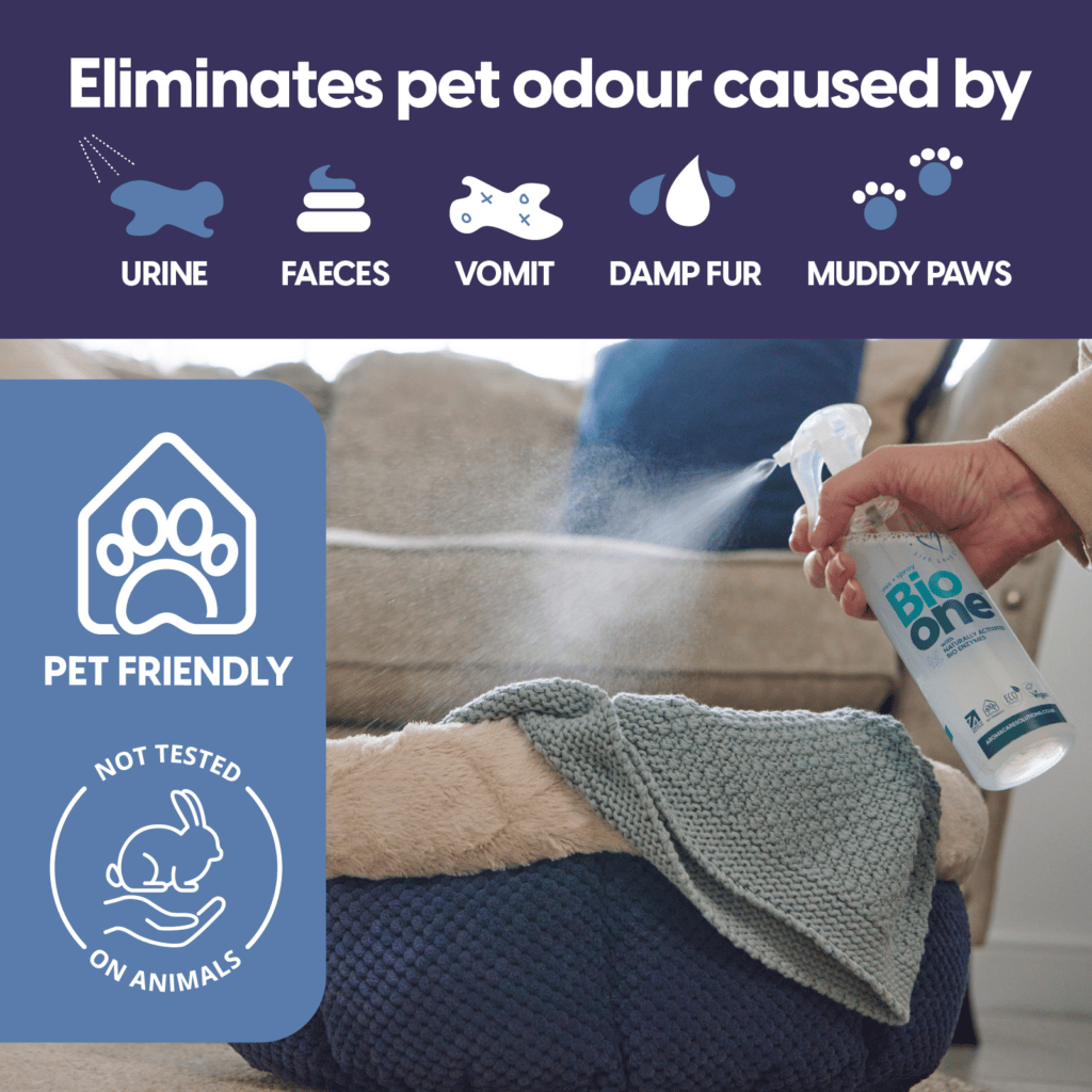 What is the best enzyme cleaner for cat urine? Aroma Care Solutions