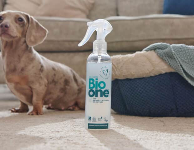 Specialty Cleaning Products You Don't Need