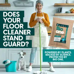 stand guard