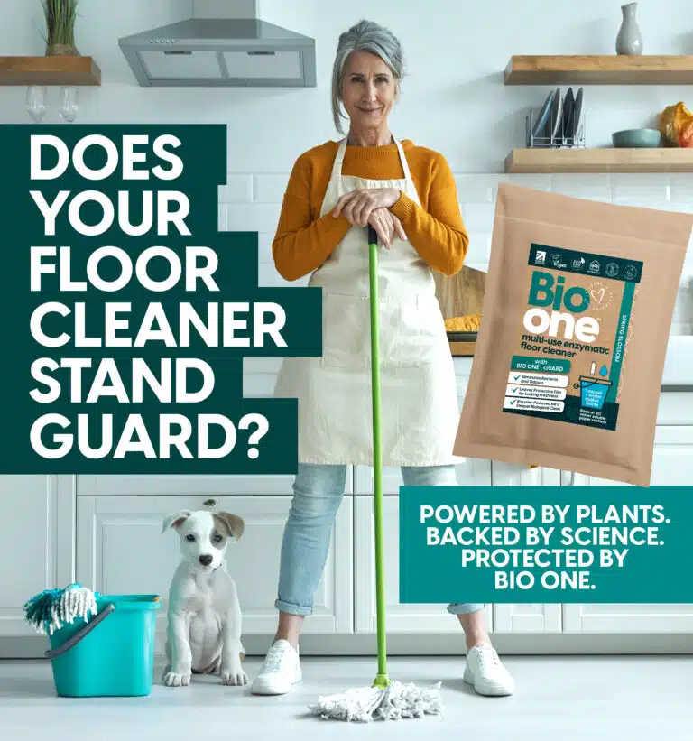 stand guard